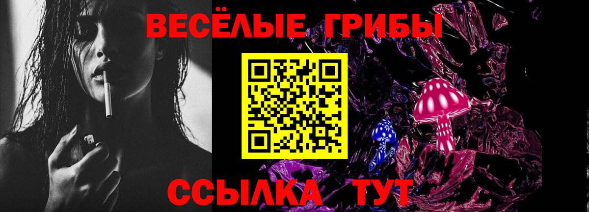 Галлюциногенные грибы Cubensis  Вход с VPN  Галлюциногенные грибы MAGIC MUSHROOMS  Гудермес 